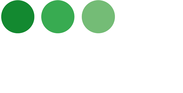 IT.S Racing Karting - Logo